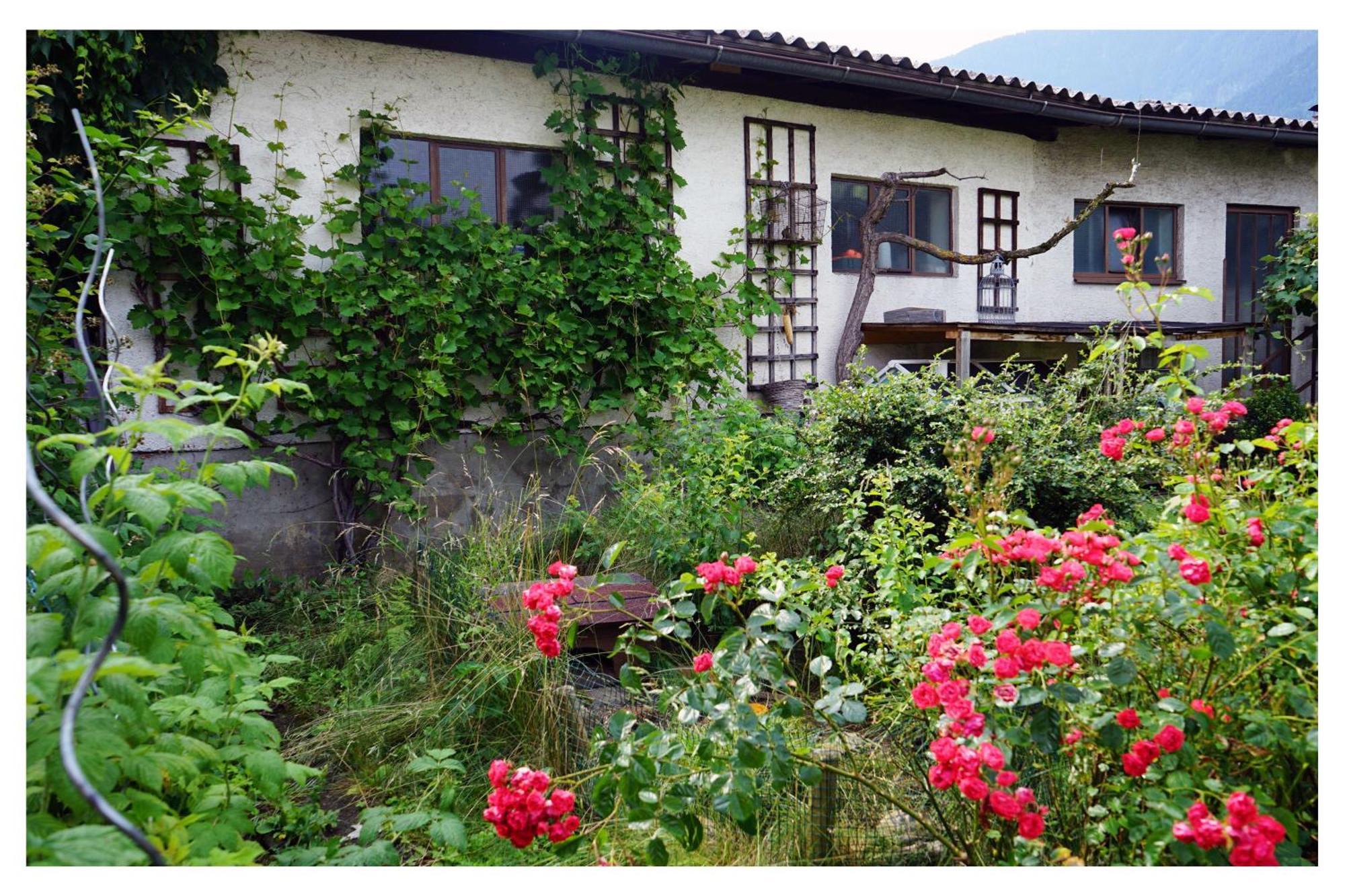 Ingrid'S Guesthouse Spittal Spittal an der Drau Exterior photo
